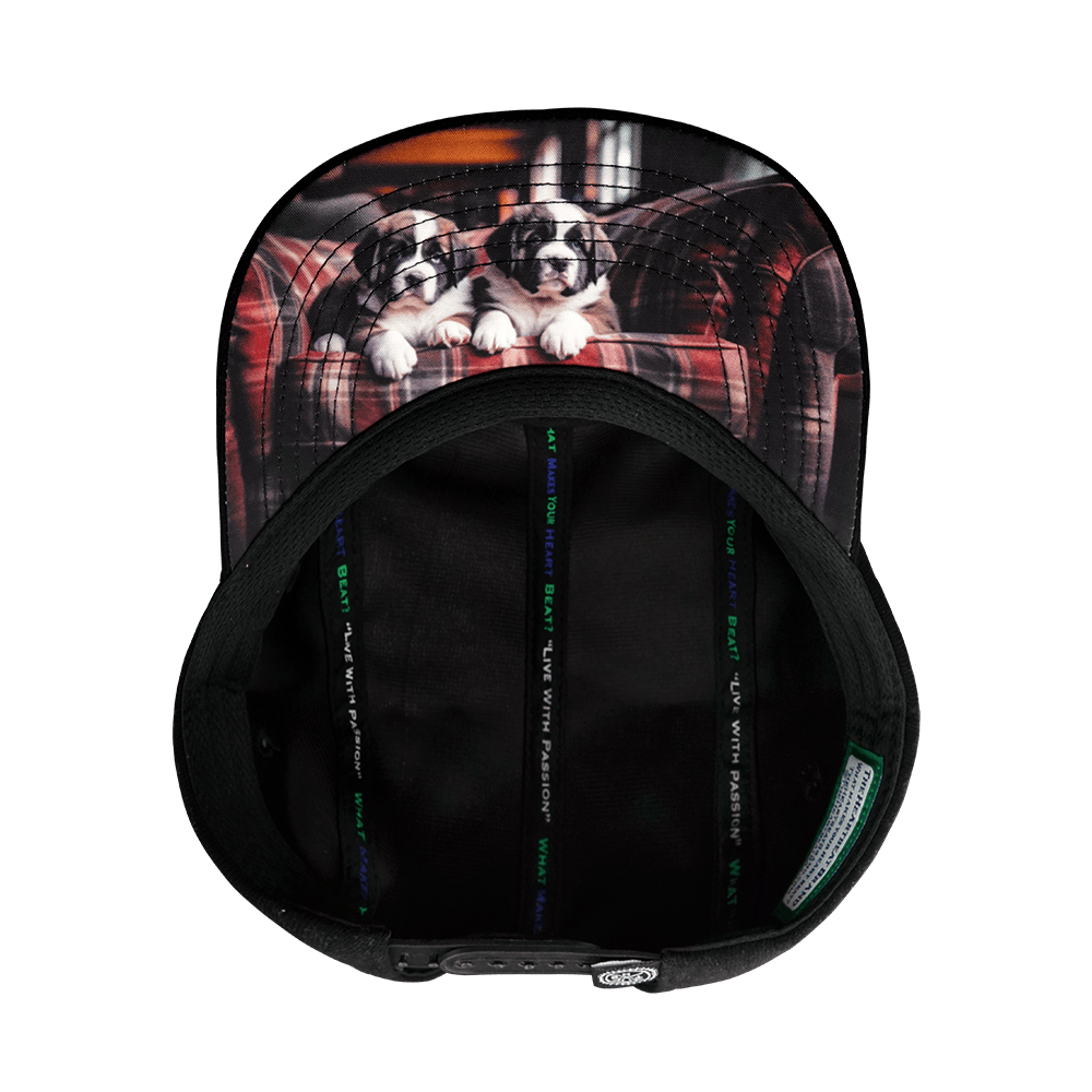 Dog Hat - 5 Panel - Corduroy - Black / Gray - Fabric Back