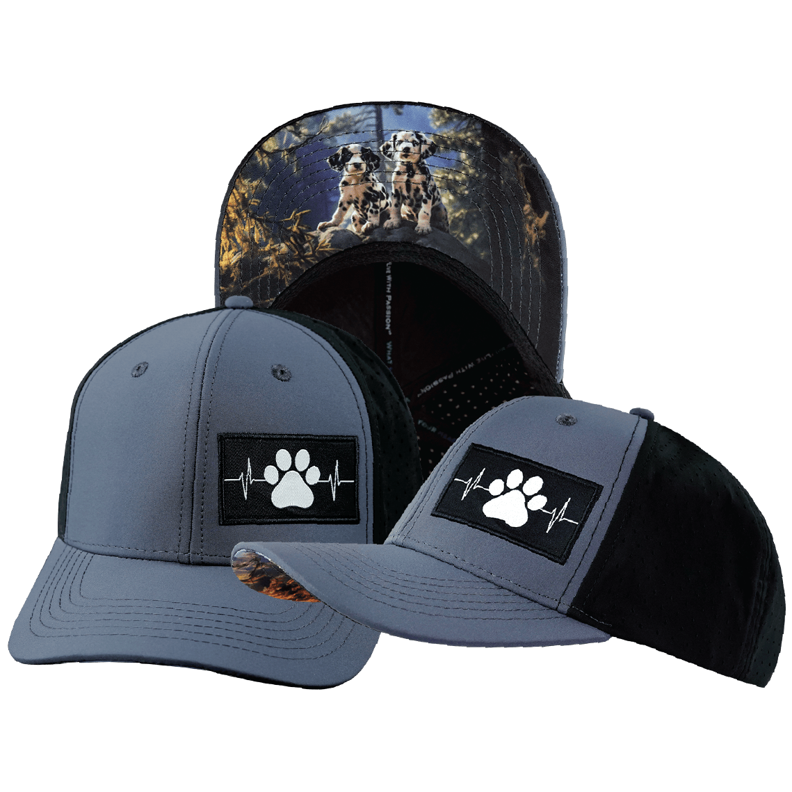 Dog Hat - Baseball Hat Fit - Charcoal / Black - Laser Mesh