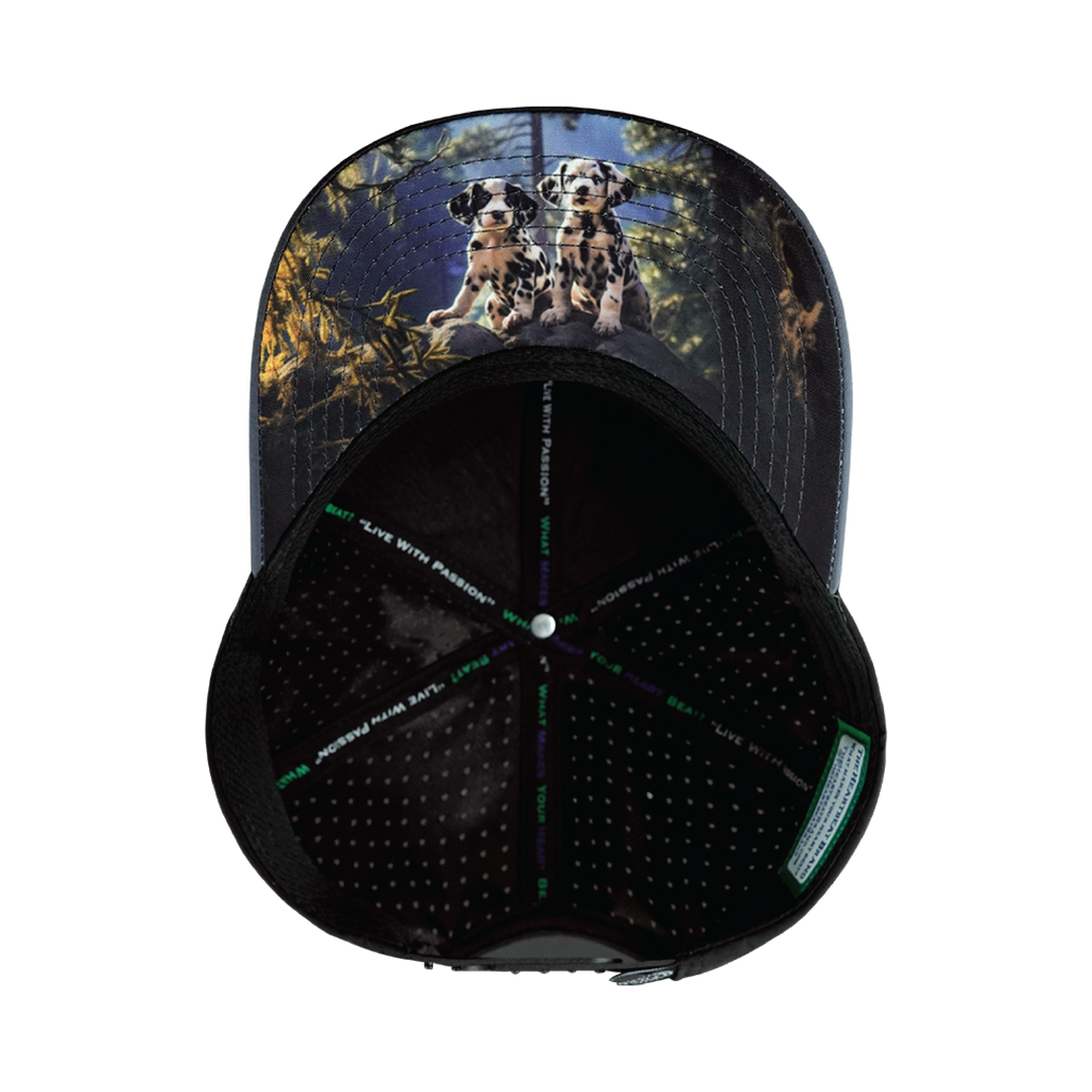 Dog Hat - Baseball Hat Fit - Charcoal / Black - Laser Mesh
