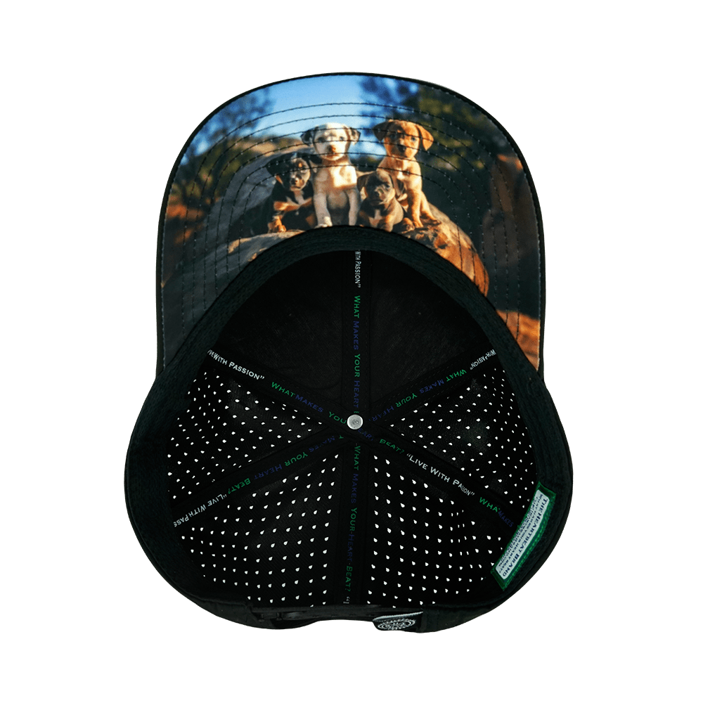 Dog Hat - Baseball Hat Fit - Cork - Black - Laser Mesh