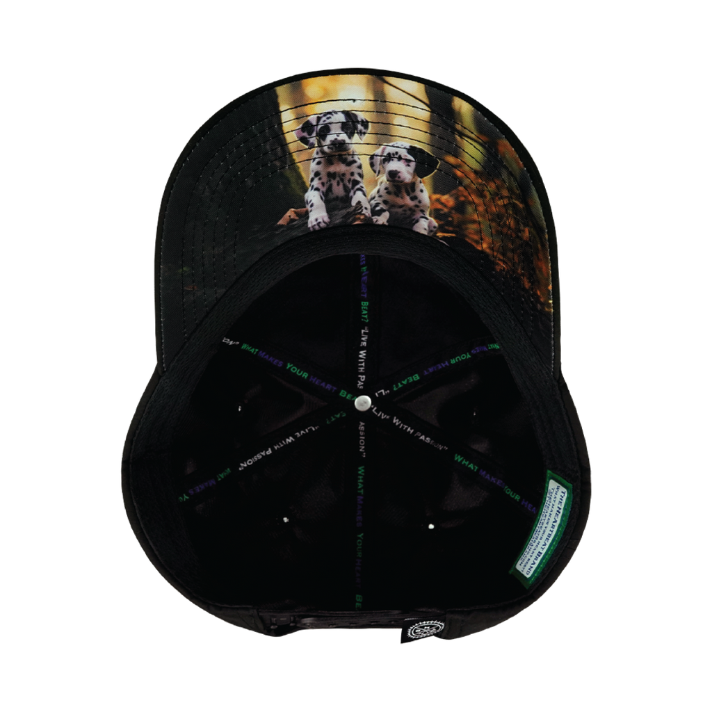 Dog Hat - Dad Hat - Black - Laser Mesh