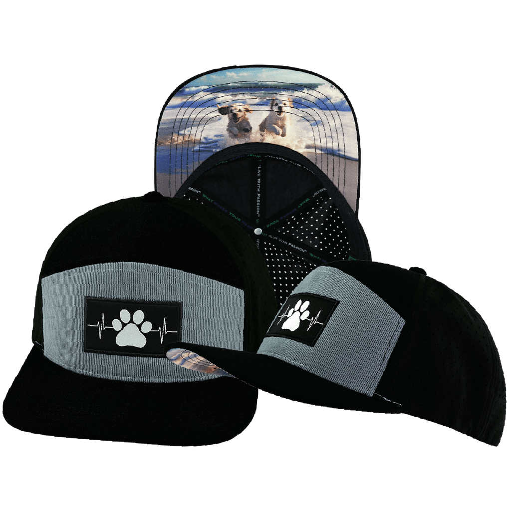 Dog Hat - Flat Bill - Corduroy - Black / Gray Blue - Laser Mesh
