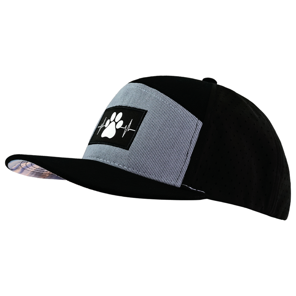 Dog Hat - Flat Bill - Corduroy - Black / Gray Blue - Laser Mesh
