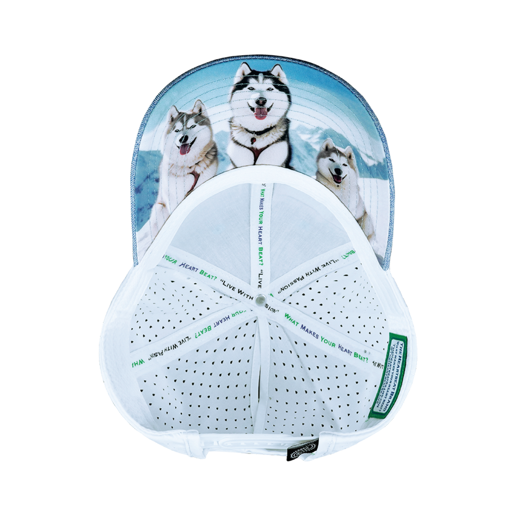 Dog Hat - Low Profile - Ponytail - Light Blue / White - Laser Mesh