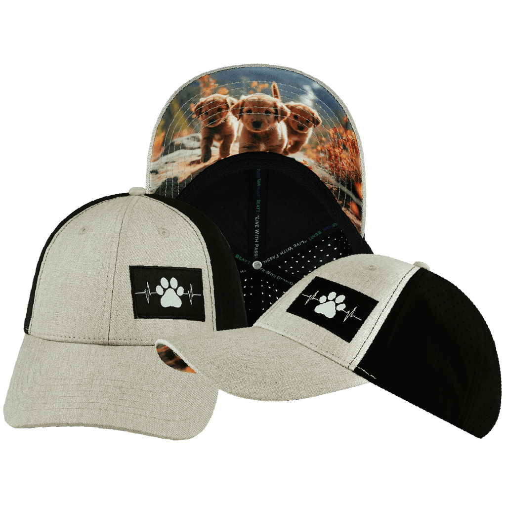 Dog Hat - Low Profile - Ponytail - Tan / Black - Laser Mesh