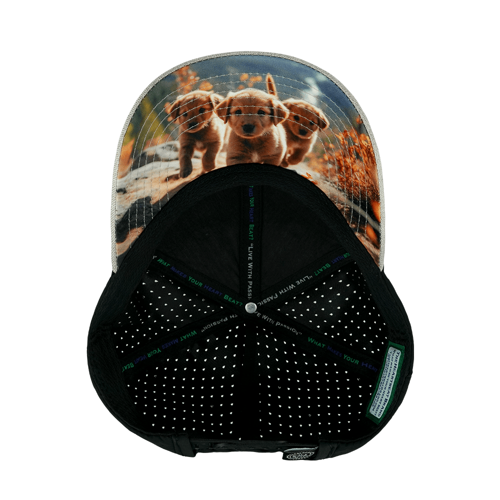 Dog Hat - Low Profile - Ponytail - Tan / Black - Laser Mesh