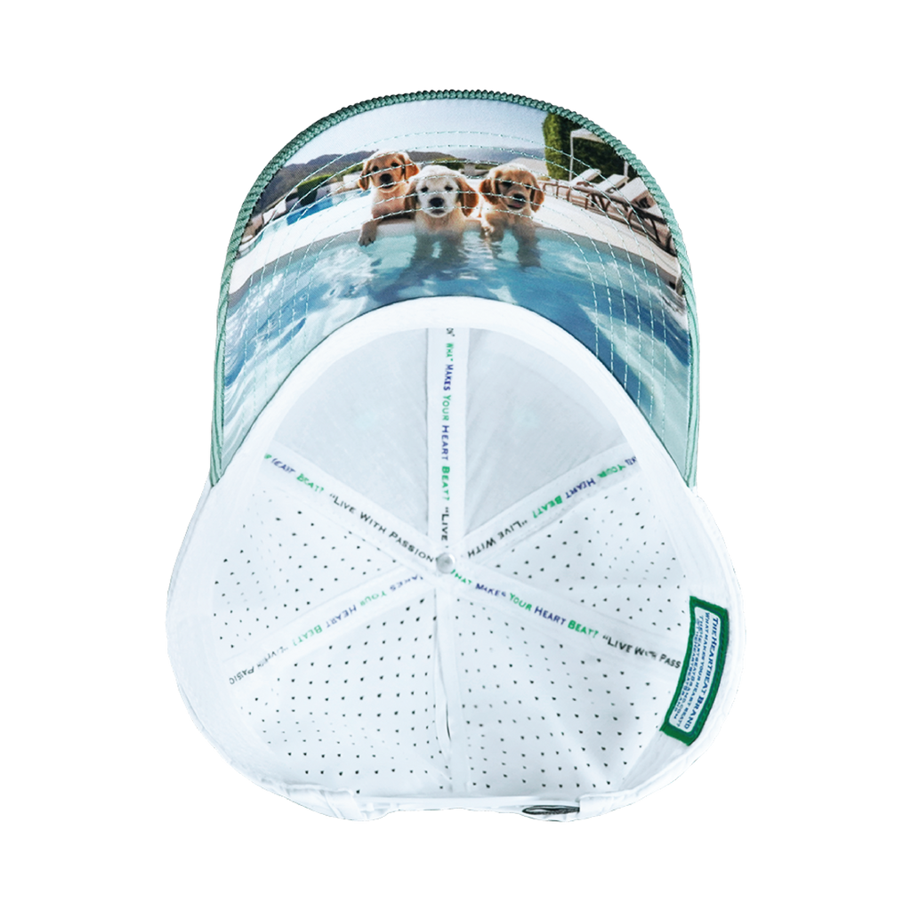 Dog Hat - Low Profile - Ponytail - Corduroy - Mint  - Laser Mesh