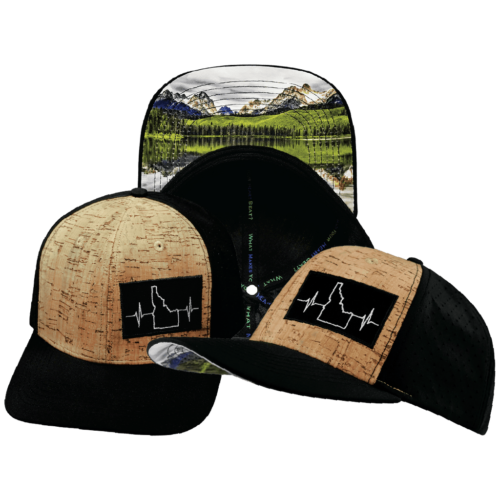 Idaho Hat - Baseball Hat Fit - Cork - Black - Laser Mesh