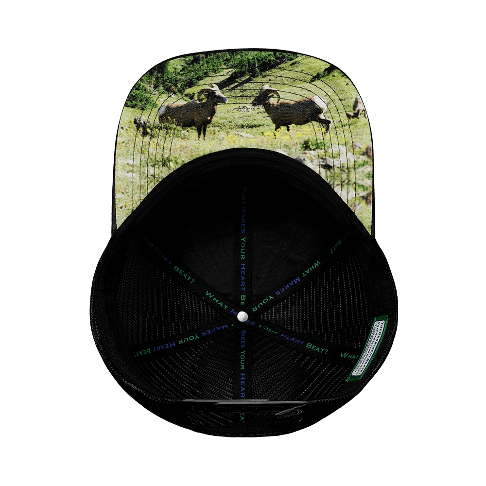 Nevada Hat - Baseball Hat - Green Camo / Black - Trucker Mesh